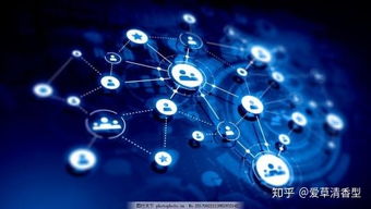 互聯(lián)網(wǎng)小白轉(zhuǎn)行自媒體 從零開始探索互聯(lián)網(wǎng)數(shù)據(jù)服務(wù)之路